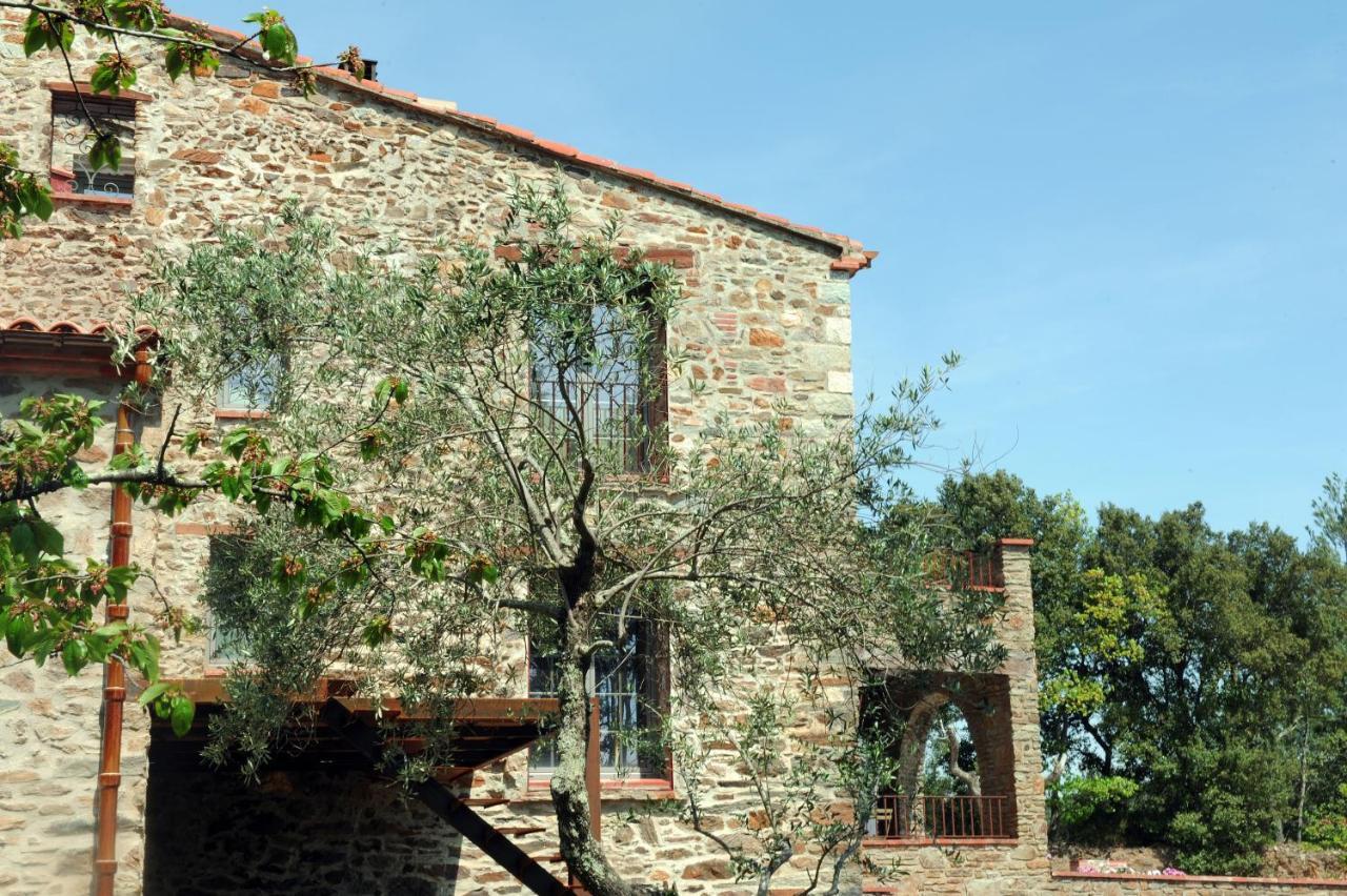 Oms Le Mas Des Colombes Chambres D'Hotes B&B & Spa מראה חיצוני תמונה